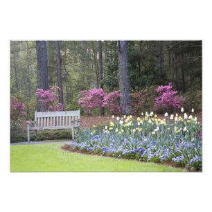 USA, Georgien, Gräs Mountain. A gräns av Fototryck