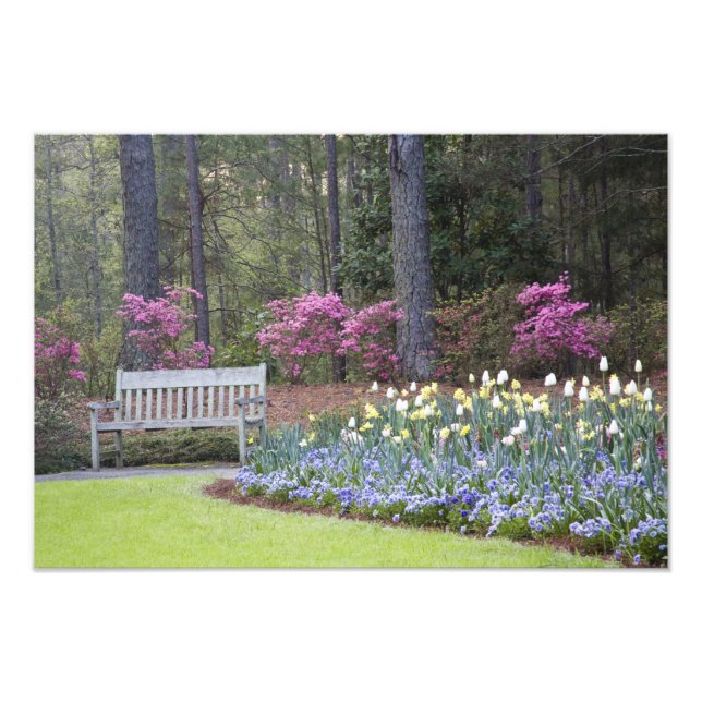 USA, Georgien, Gräs Mountain. A gräns av Fototryck (Framsidan)