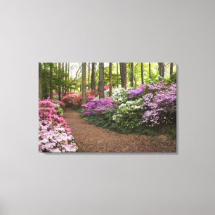 USA, Georgien, Gräs Mountain. En bana genom Canvastryck