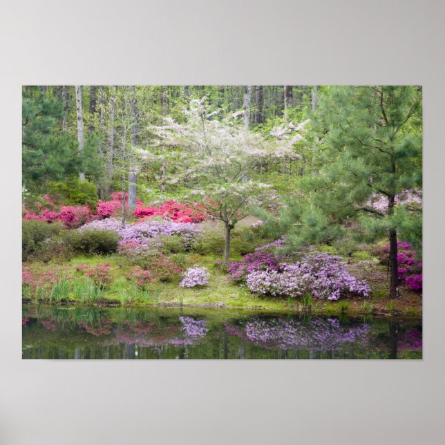 USA, Georgien, Gräs Mountain. En blandning av Poster (Framsidan)