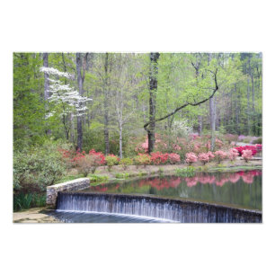 USA, Georgien, Gräs Mountain. Ett litet vattenfal Fototryck