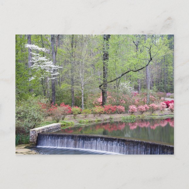 USA, Georgien, Gräs Mountain. Ett litet vattenfall Vykort (Framsida)