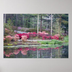 USA, Georgien, Gräs Mountain. Visa område efter Poster