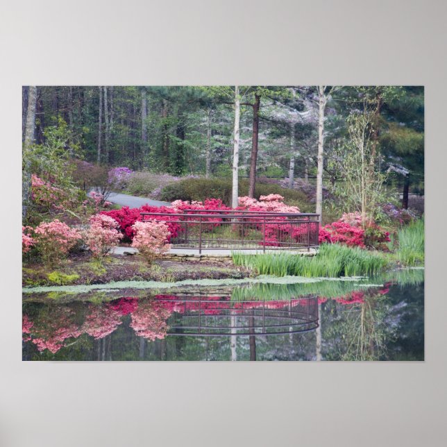 USA, Georgien, Gräs Mountain. Visa område efter Poster (Framsidan)