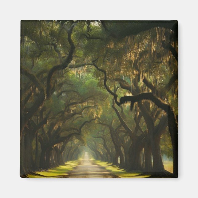 USA, Georgien, Savannah, An ekfodrad enhet Magnet (Framsidan)