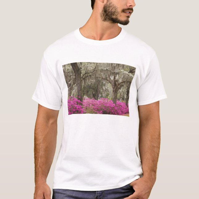 USA, Georgien, Savannah, Vår vid Historien T Shirt (Framsida)