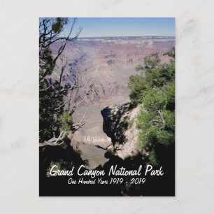 USA, Grand Canyon National Park - 100 år Vykort