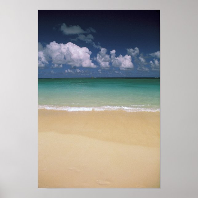 USA, Hawaii. Beach-scen Poster (Framsidan)