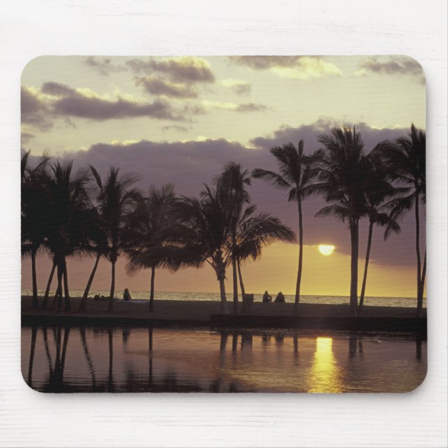 USA, Hawaii, Big Island, Par, palmer Musmatta (Framsidan)