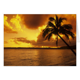 USA, Hawaii, Kauai, Färgglad soluppgång i en Hälsningskort