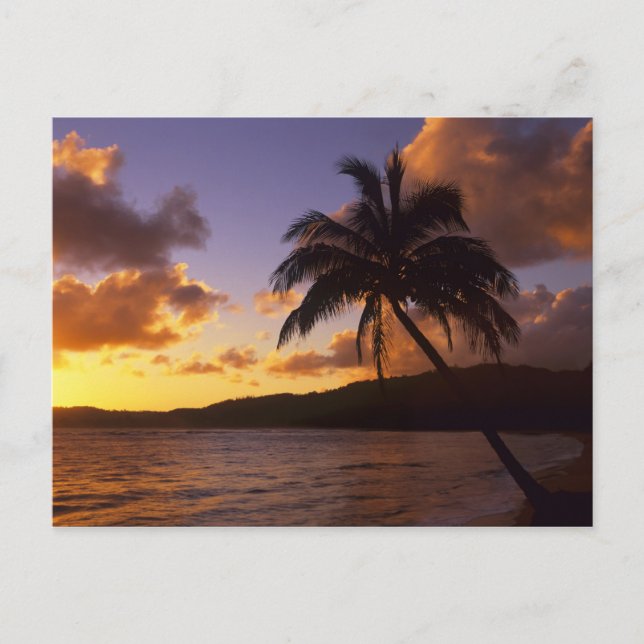 USA, Hawaii, Kauai, Färgglatt soluppgång i en 2 Vykort (Framsida)