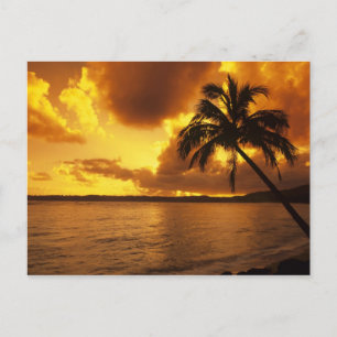 USA, Hawaii, Kauai, Färgglatt soluppgång i en Vykort