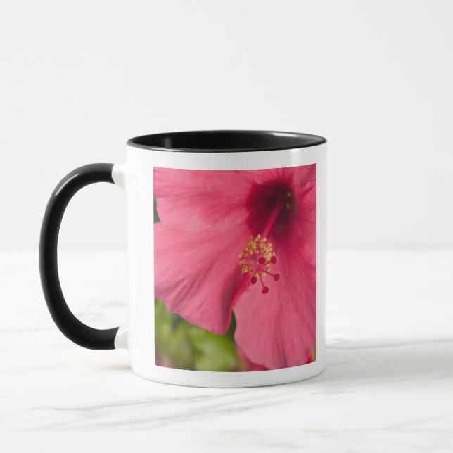 USA, Hawaii, Kauai, Hibiskus Mugg (Vänster)
