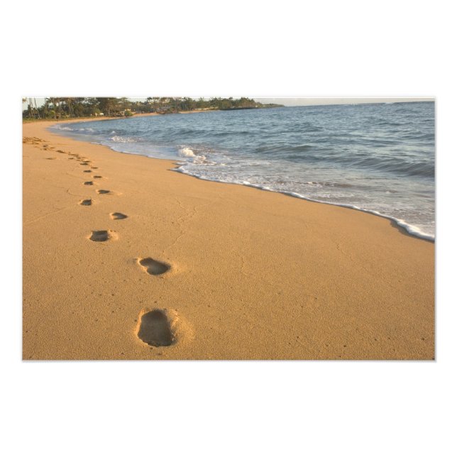 USA, Hawaii, Kauai, Kapa'a, bachfront. RF) Fototryck (Framsidan)