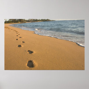 USA, Hawaii, Kauai, Kapa'a, bachfront. RF) Poster