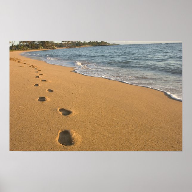 USA, Hawaii, Kauai, Kapa'a, bachfront. RF) Poster (Framsidan)
