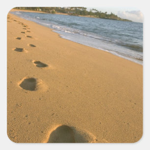USA, Hawaii, Kauai, Kapa'a, strand. Fyrkantigt Klistermärke