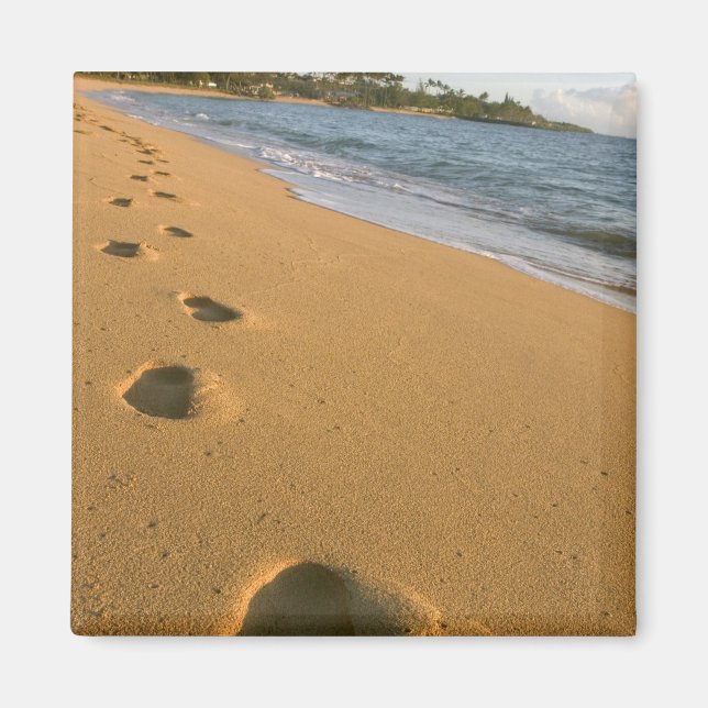 USA, Hawaii, Kauai, Kapa'a, strand. Magnet (Framsidan)