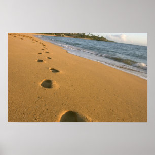 USA, Hawaii, Kauai, Kapa'a, strand. Poster