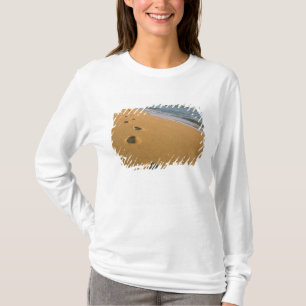USA, Hawaii, Kauai, Kapa'a, strand. T-shirt