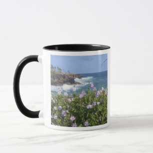 USA, Hawaii, Kauai, nära Kapaa, nordväst Mugg