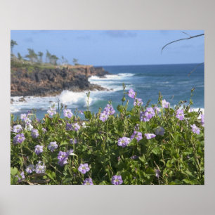 USA, Hawaii, Kauai, nära Kapaa, nordväst Poster