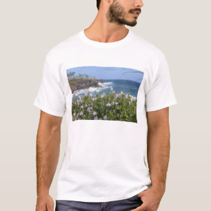 USA, Hawaii, Kauai, nära Kapaa, nordväst Tee