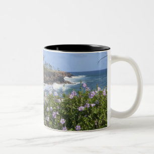 USA, Hawaii, Kauai, nära Kapaa, nordväst Två-Tonad Mugg