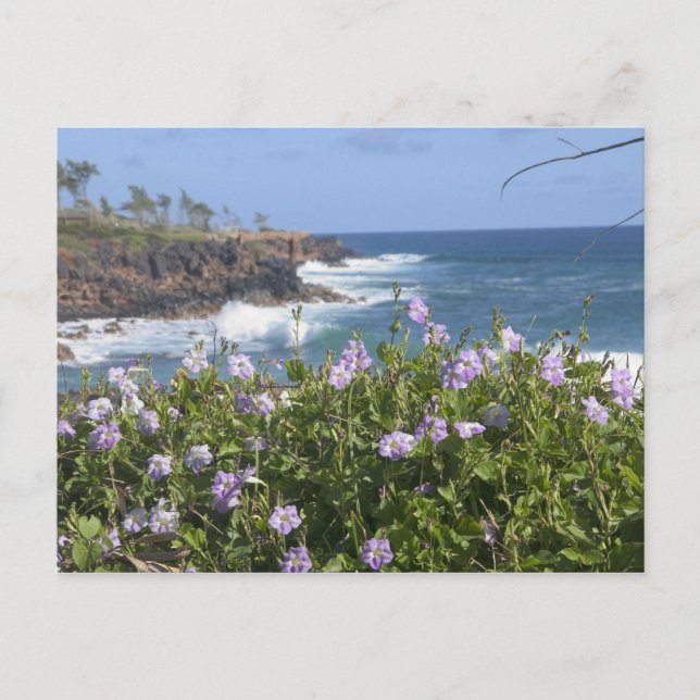 USA, Hawaii, Kauai, nära Kapaa, nordväst Vykort (Framsida)