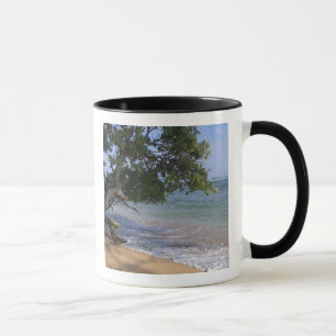 USA, Hawaii, Kauai, strand scenisk. RF) Mugg
