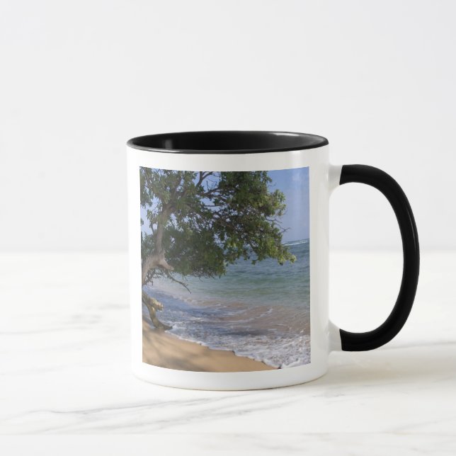 USA, Hawaii, Kauai, strand scenisk. RF) Mugg (Höger)