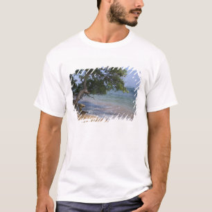 USA, Hawaii, Kauai, strand scenisk. RF) T-shirt