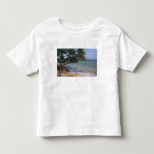 USA, Hawaii, Kauai, strand scenisk. RF) Tröja