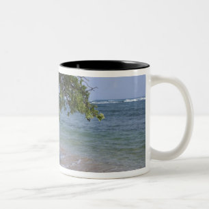 USA, Hawaii, Kauai, strand scenisk. RF) Två-Tonad Mugg