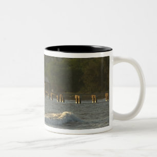 USA, Hawaii, Kauai, sydvästkusten, nära Två-Tonad Mugg