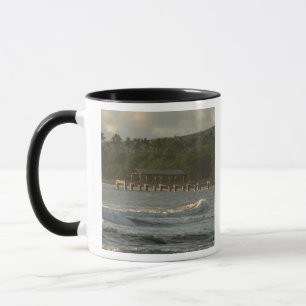 USA, Hawaii, Kauai, sydvästra kusten, nära Mugg