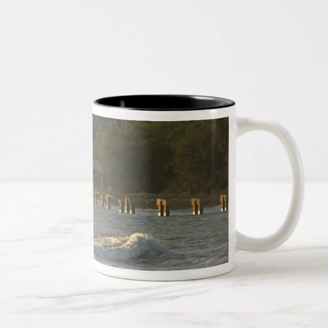 USA, Hawaii, Kauai, sydvästra kusten, nära Två-Tonad Mugg (Höger)