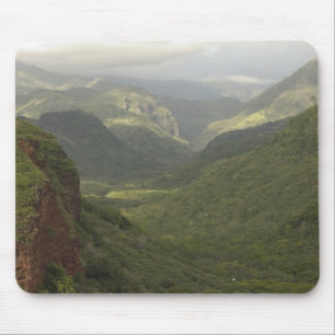 USA, Hawaii, Kauai, utsikt över kanjon. (RF) Musmatta