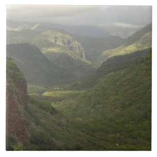 USA, Hawaii, Kauai, utsikt över kanjonen. (RF) Kakelplatta
