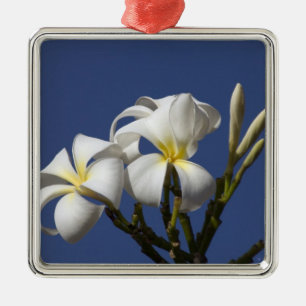 USA, Hawaii, Kauai, vit plumeria. Julgransprydnad Metall
