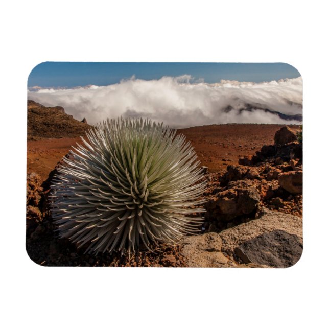 USA, Hawaii, Maui, Haleakalā nationalpark Magnet (Horisontell)