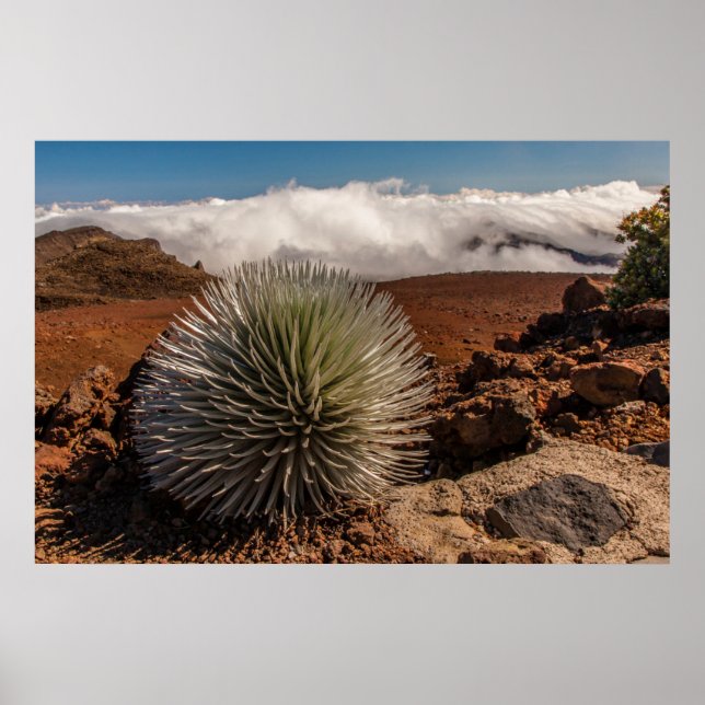 USA, Hawaii, Maui, Haleakalā nationalpark Poster (Framsidan)