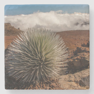 USA, Hawaii, Maui, Haleakala nationalpark Underlägg Sten
