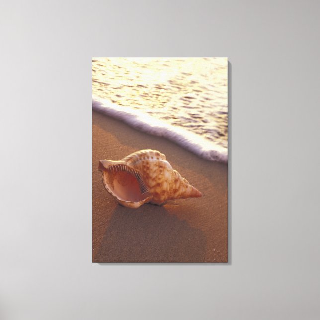 USA, Hawaii, Maui, Kihei, Evening Light på Canvastryck (Framsida)