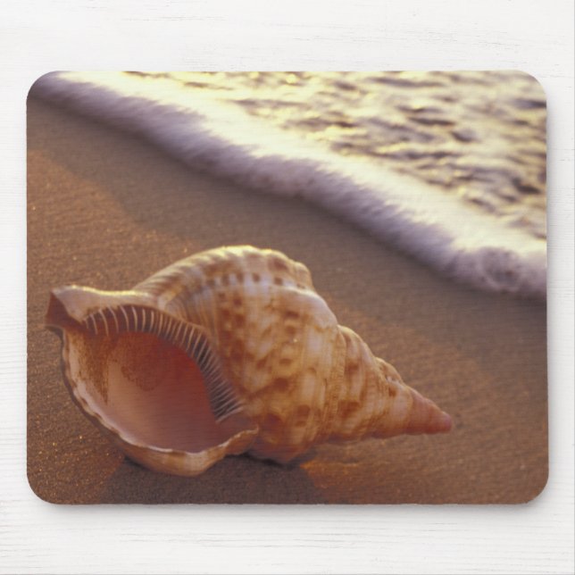 USA, Hawaii, Maui, Kihei, Evening Light på Musmatta (Framsidan)