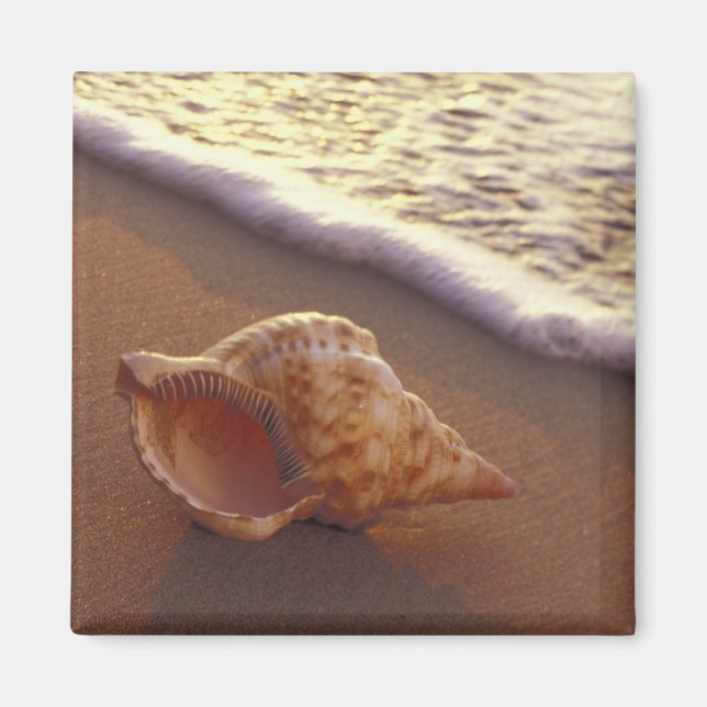 USA, Hawaii, Maui, Kihei, Kvällsljus på Magnet (Framsidan)