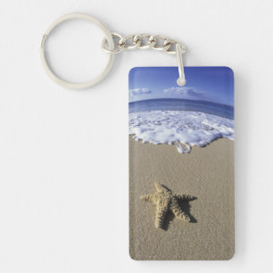USA, Hawaii, Maui, Makena Beach, Sjöstjärna och