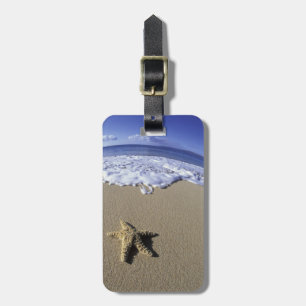 USA, Hawaii, Maui, Makena Beach, sjöstjärna och Bagagebricka