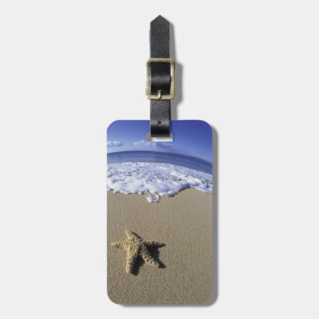 USA, Hawaii, Maui, Makena Beach, sjöstjärna och Bagagebricka (Vertikal Framsida)