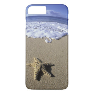 USA, Hawaii, Maui, Makena Beach, sjöstjärna och
